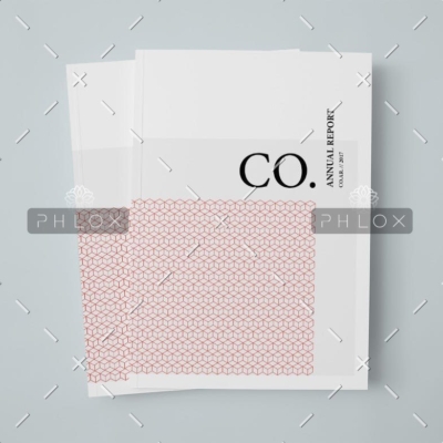 demo-attachment-216-CO.-Annual-Report-1